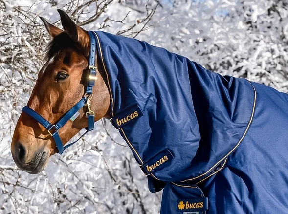 Bucas Irish Turnout Combi Neck