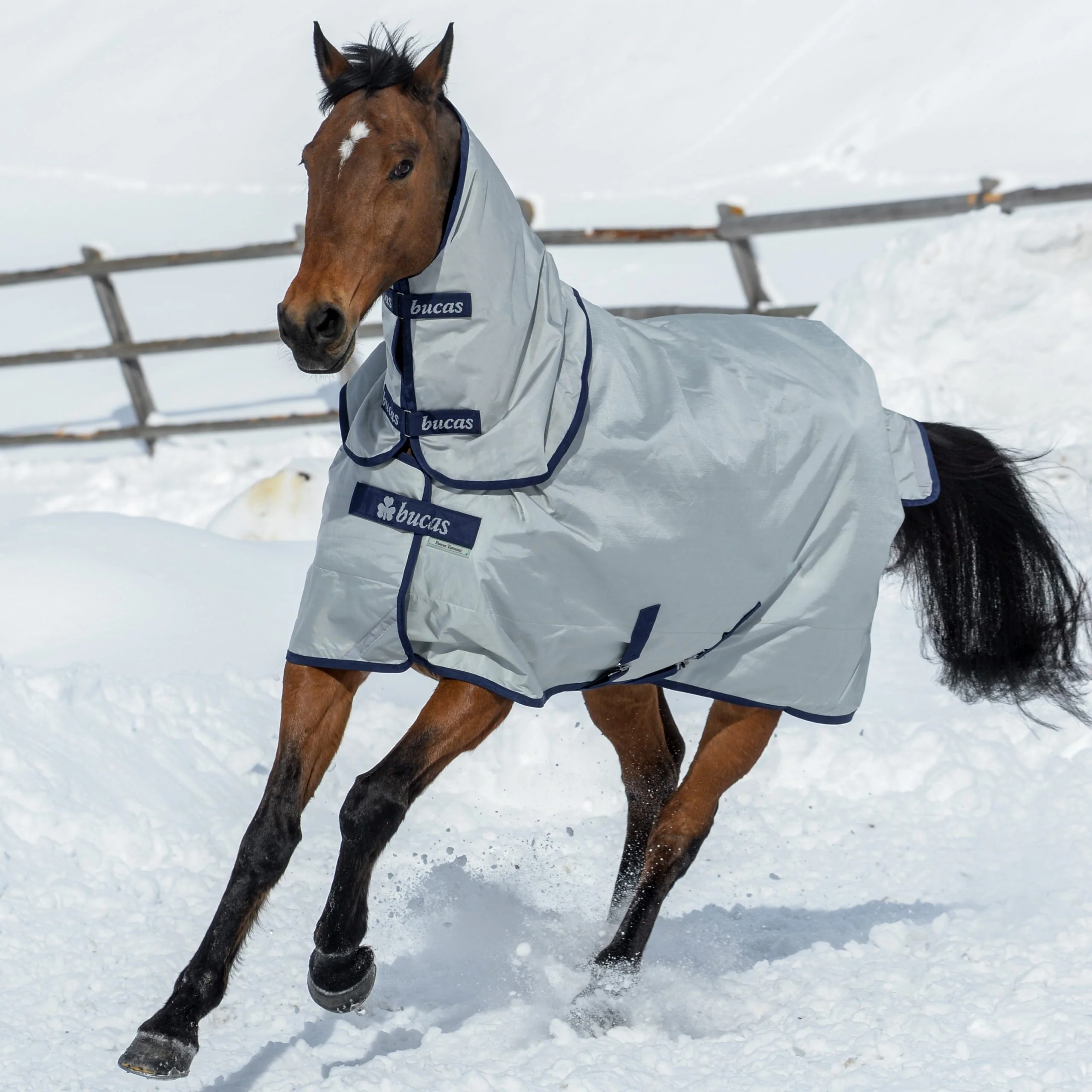 Bucas Power Turnout Combi Neck - Image 4