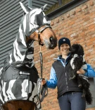 Buzz - Off Zebra Full Neck - Image 4