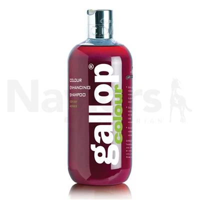 CDM Gallop Colour Bay Shampoo 500ml