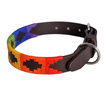 Pioneros Dog collar - Image 12