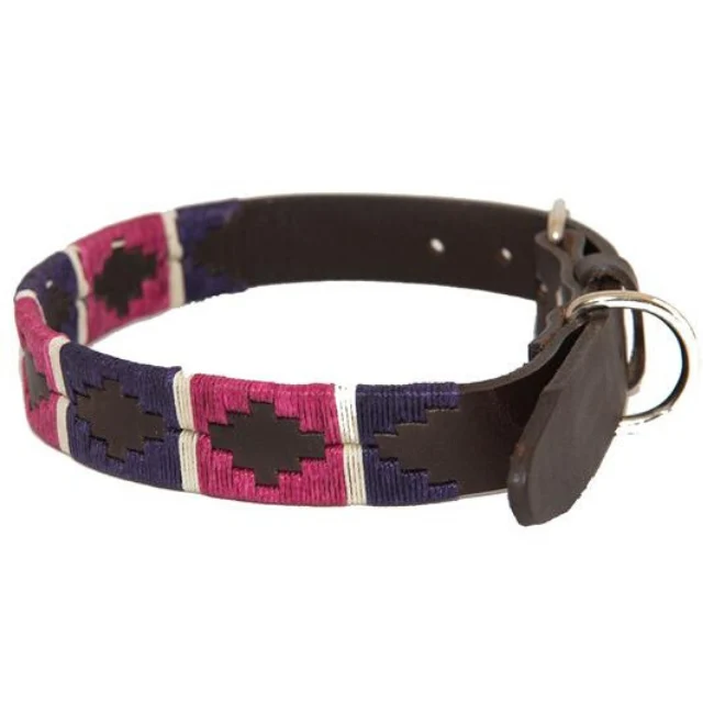 Pioneros Dog collar - Image 14
