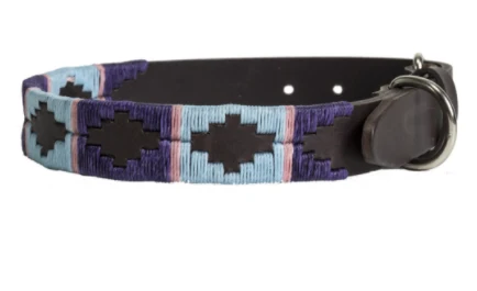 Pioneros Dog collar - Image 8