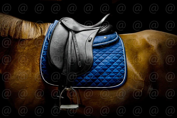 Ogilvy Dressage Memory Foam Half Pad - Image 3