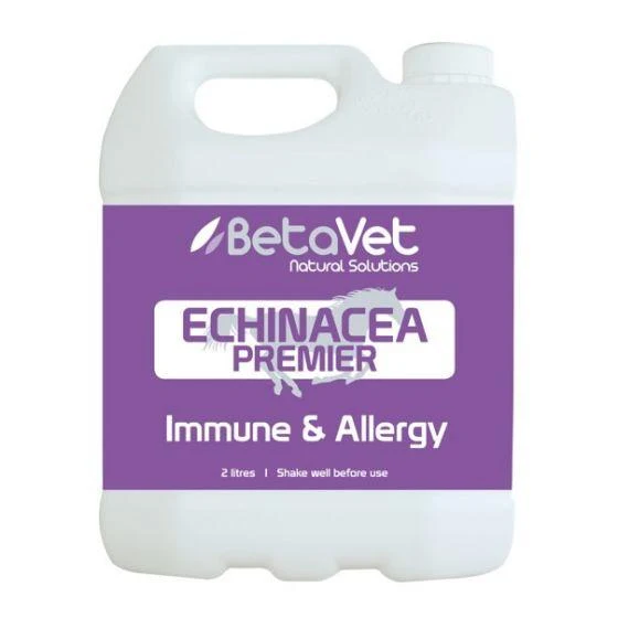 Echinacea Premier - Image 3