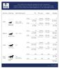 Majyk Equip Elite Eventing Boots - Image 3