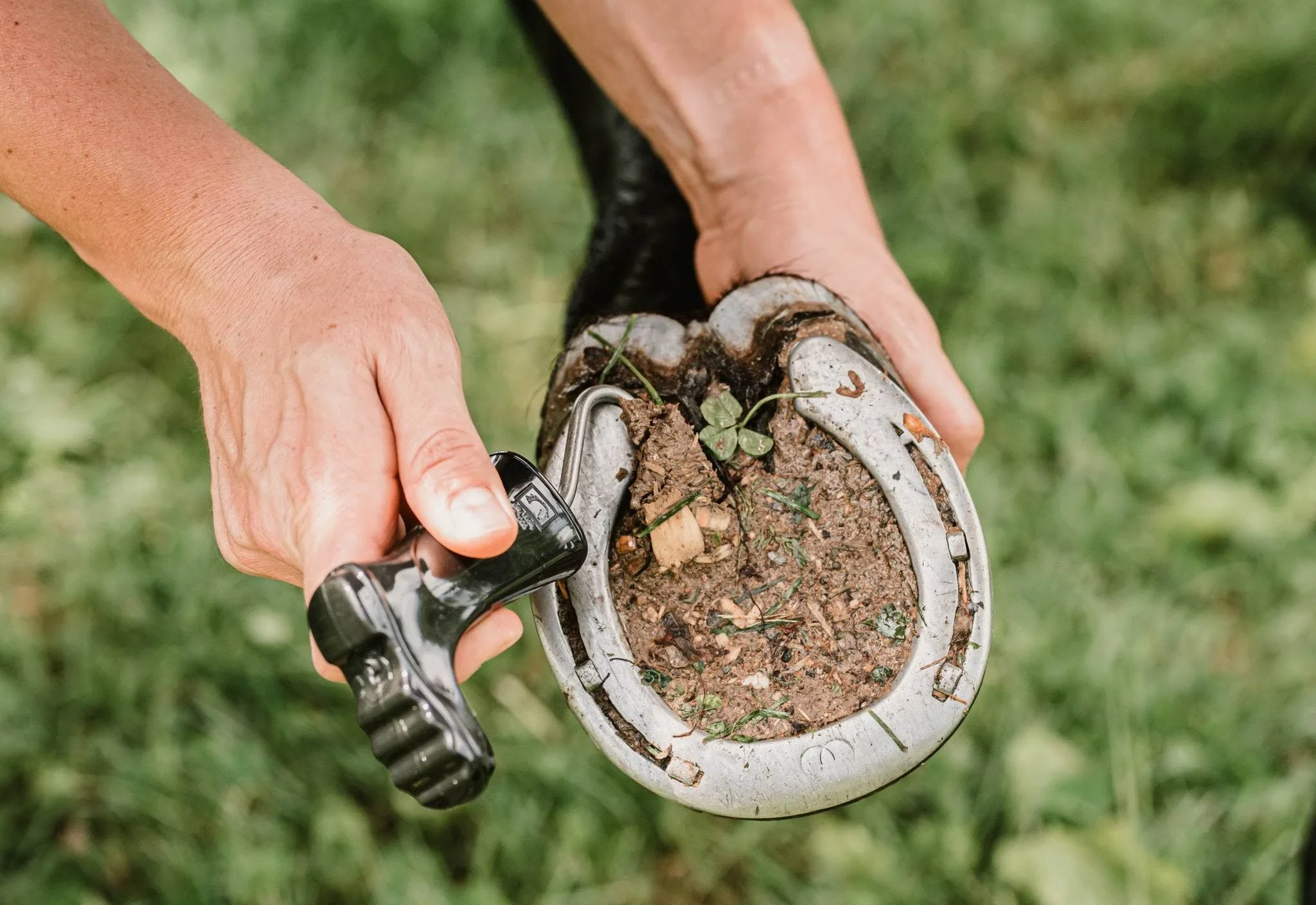Mighty Muck Hoof Pick - Image 2