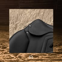 Renaissance F2 - Image 4
