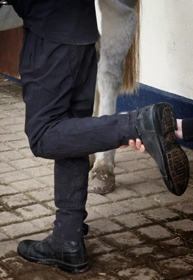 Jomiluti Waterproof Riding Pants - Image 3