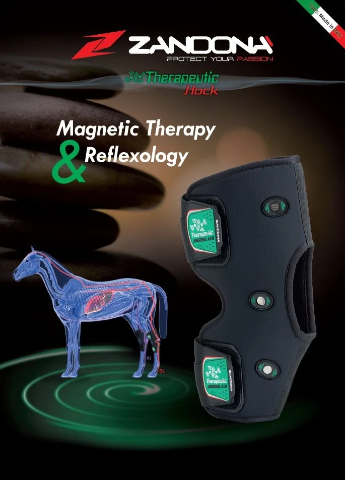 Zandona Therapeutic Hock Boots - Image 2